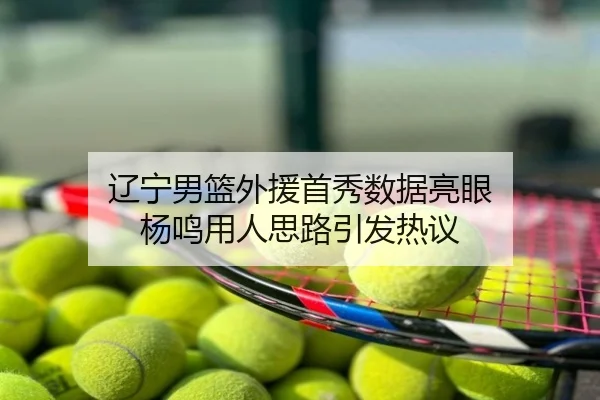 辽宁男篮外援首秀数据亮眼 杨鸣用人思路引发热议